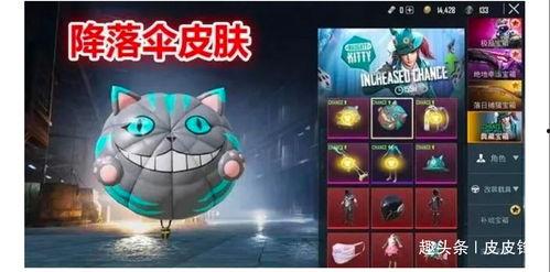 军需新皮肤最新爆料白猫,军需风采，时尚与力量的完美融合